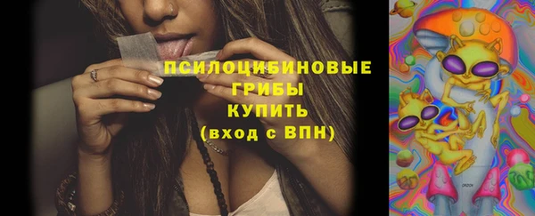 стаф Алексеевка