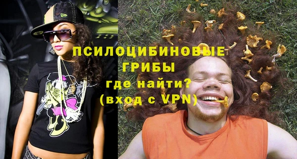 стаф Алексеевка